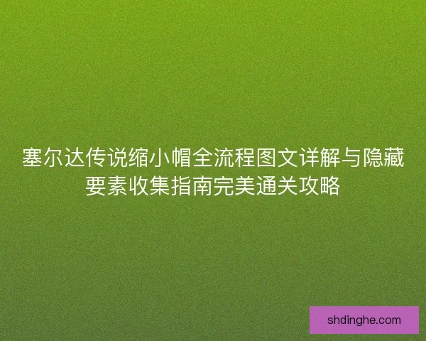塞尔达传说缩小帽全流程图文详解与隐藏要素收集指南完美通关攻略 塞尔达传说缩小帽全流程图文详解与隐藏要素收集指南完美通关攻略